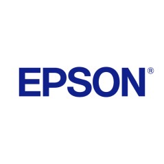 "Epson Maintenance Box C13T295000 - High-Performance, Reliable Ink Maintenance Solution"